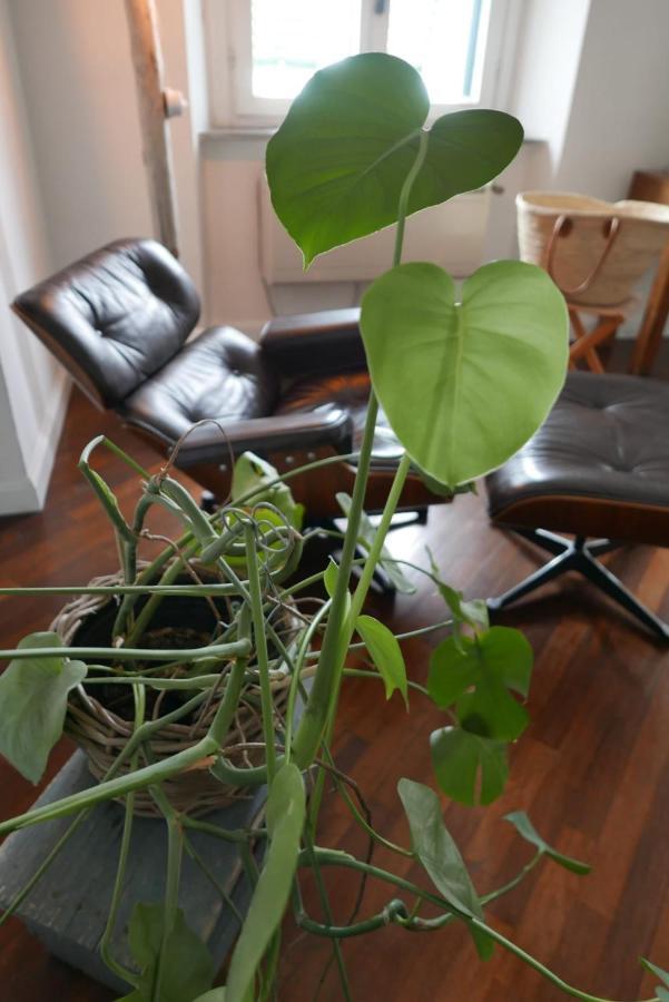 The Sunshine Loft Apartman Livorno Kültér fotó